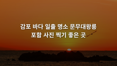 감포 바다 일출 명소 문무대왕릉 포함 사진 찍기 좋은 곳
