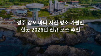 경주 감포 바다 사진 명소 가볼만한곳 2026년 신규 코스 추천