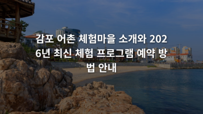 감포 어촌 체험마을 소개와 최신 체험 프로그램 예약 방법 안내