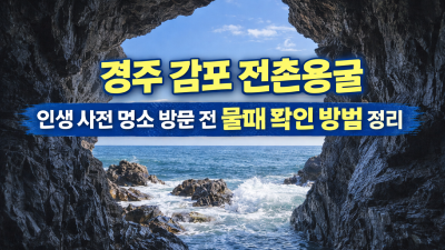 경주 감포 전촌용굴 인생 사진 명소 방문 전 물때 확인 방법 정리