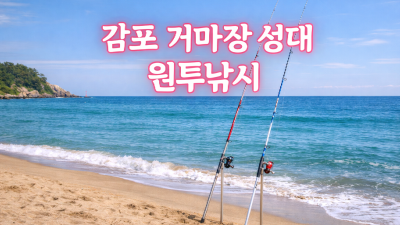 감포 거마장 원투 성대낚시 방법, 미끼 및 채비 추천 포인트 공유
