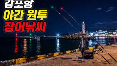 경주 야간 원투 낚시 명소 감포항 야간 원투 장어낚씨 미끼 채비 방법