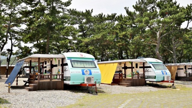 파도 소리에 잠들고 솔향기에 눈뜨는 곳, '오류캠핑장'