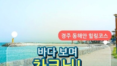 감포 가볼만한곳 나아해변, 조용한 바다와 차크닉을 즐기기 좋은 경주 해변