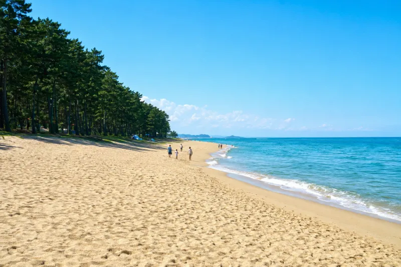 gampo-oryu-beach-view.png