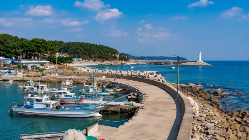 gampo-beach-port-course.png