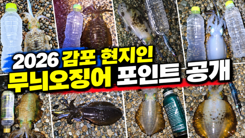 5a77b4cd-dc63-4dfe-b17f-1ff0de5970ff.png