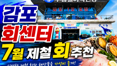감포회센터 7월 제철 회 추천, 포장부터 가성비까지 한눈에