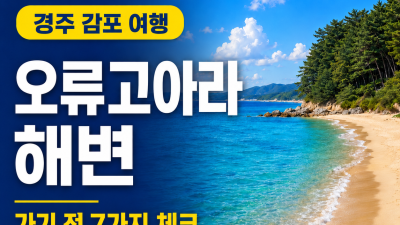 감포 오류고아라해변 가기 전 꼭 확인할 7가지