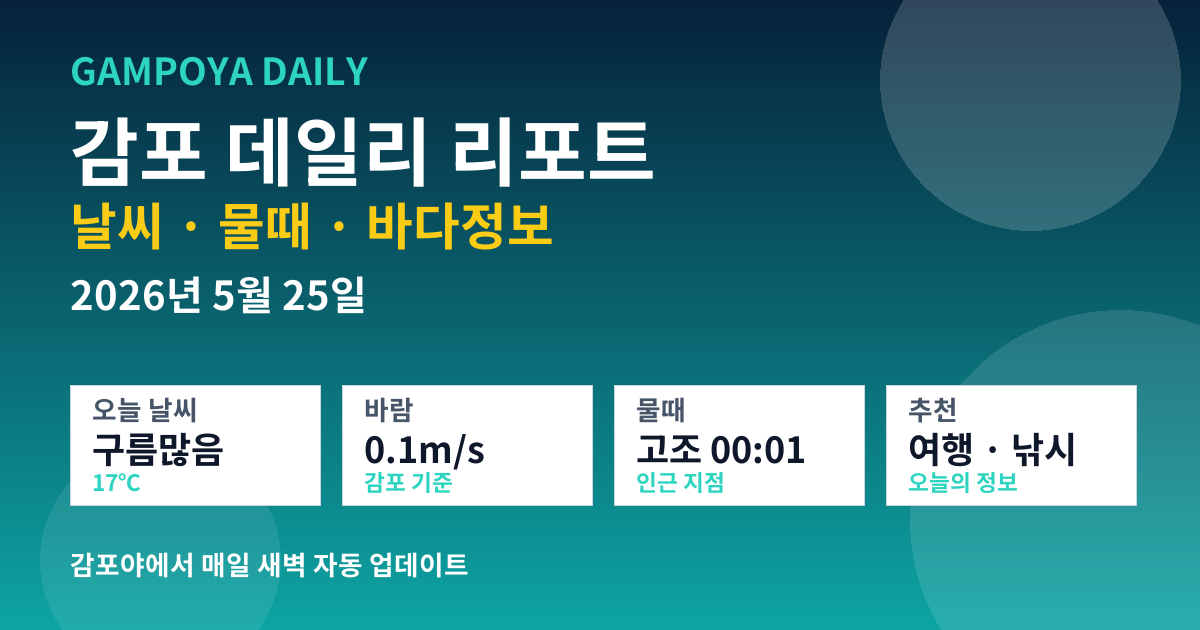 감포 데일리 리포트 썸네일