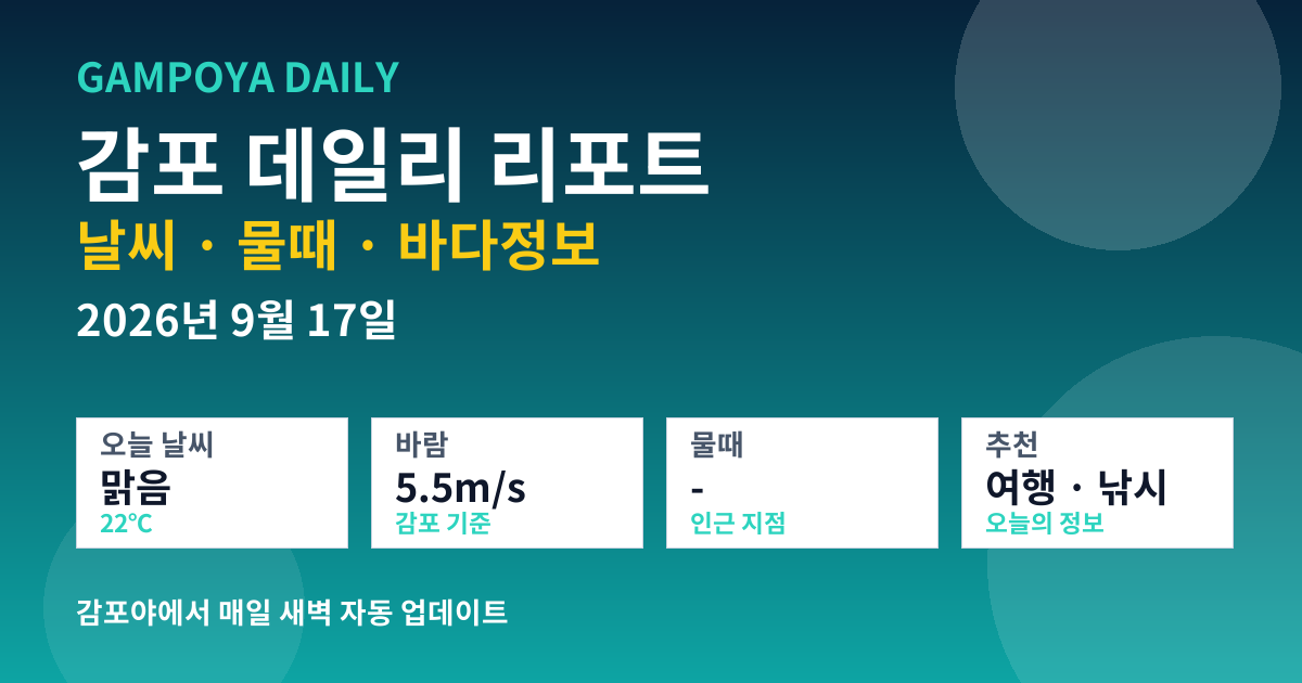 감포 데일리 리포트 썸네일