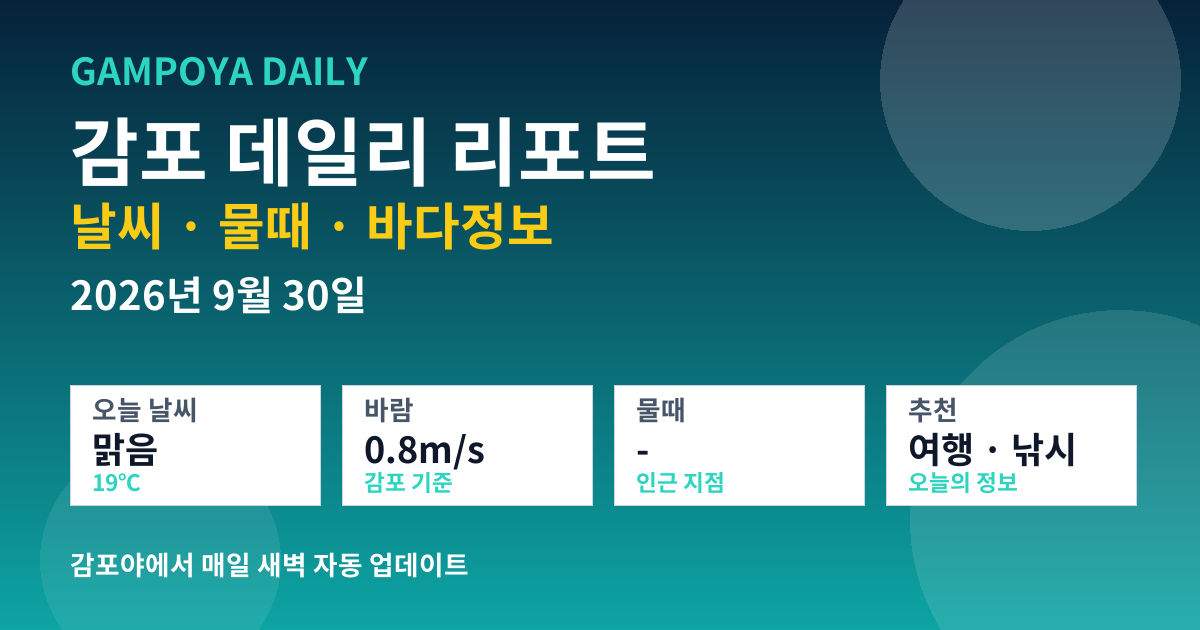 감포 데일리 리포트 썸네일