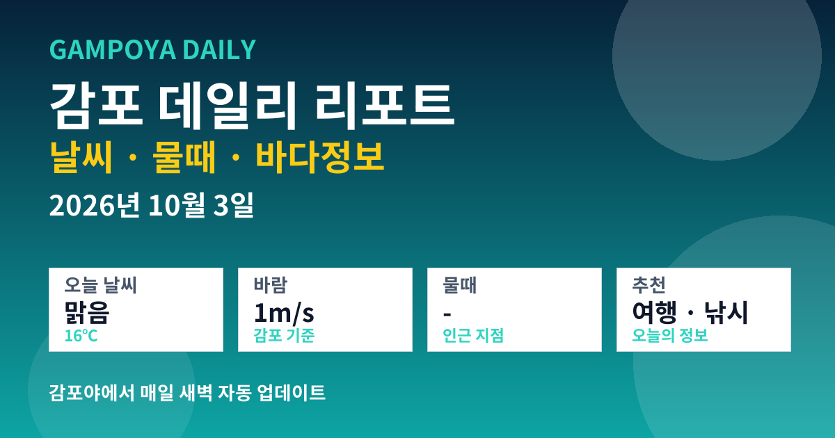 감포 데일리 리포트 썸네일