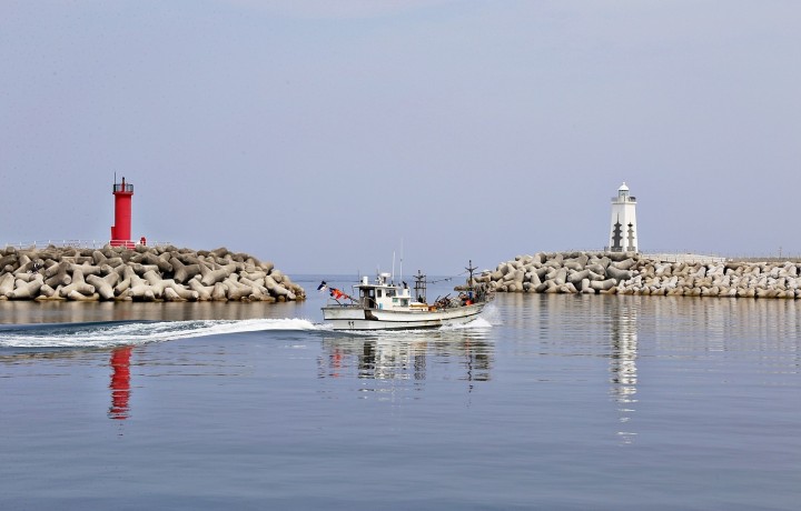 감포항 & 감포해상공원